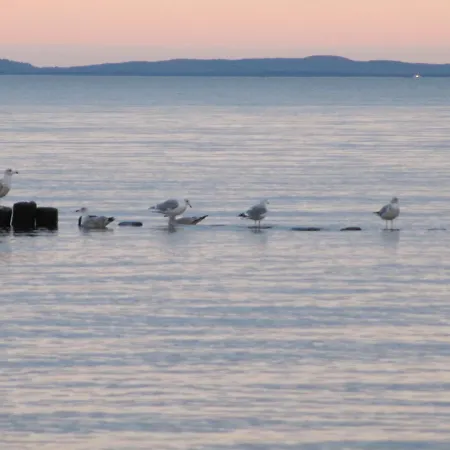Usedom Ahoi _ Ferienparadies ゼーバート・ヘリングスドルフ