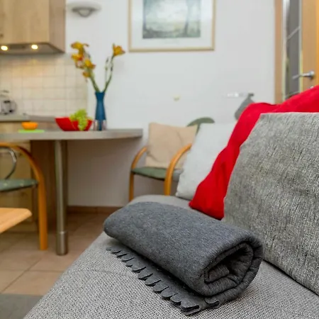 ホテル Usedom Ahoi _ Ferienparadies *