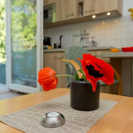 ホテル Usedom Ahoi _ Ferienparadies ゼーバート・ヘリングスドルフ